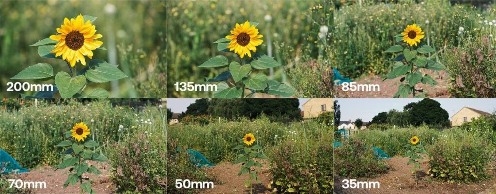düzgün medya focal length nedir